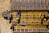 Drying fish in Vung Tau, Vietnam, Indochina, Southeast Asia, Asia