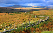 Looking towards Pen-y-Fan, Brecon Beacons, Powys, Wales, United Kingdom, Europe