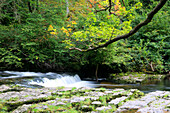 Sgwd Clun-Gwyn Wasserfall,Ystradfellte,Brecon Beacons,Powys,Wales,Vereinigtes Königreich,Europa