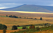 Looking towards Pen-y-Fan, Brecon Beacons, Powys, Wales, United Kingdom, Europe