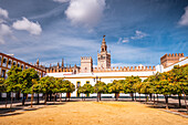 Orange trees in a park featuring the cathedral spire of Seville, Andalusia, Spain, Europe