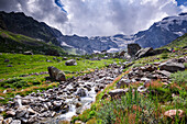 Gebirgsbach,Felsen und Wiesen,Monte Rosa,Dufourspitze,Italienische Alpen,Italien,Europa