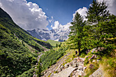 Hiking trail in alpine landscape facing Monte Rosa with lush forest and meadows in moraine landscape, Italian Alps, Italy, Europe