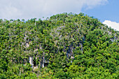 Entrance to the Santo Tomas cave complex in the Vinales National Park, UNESCO World Heritage Site, Pinar del Rio, Cuba, West Indies, Caribbean, Central America