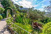 View of tropical flora in Giardini la Mortella Botanical Garden, Forio, Island of Ischia, Campania, Italy, Europe