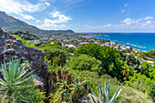 Blick auf die tropische Flora im Botanischen Garten Giardini la Mortella und Forio im Hintergrund,Forio,Insel Ischia,Kampanien,Italien,Europa