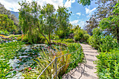 View of tropical flora in Giardini la Mortella Botanical Gardens, Forio, Island of Ischia, Campania, Italy, Europe