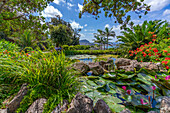 View of tropical flora in Giardini la Mortella Botanical Gardens, Forio, Island of Ischia, Campania, Italy, Europe