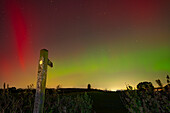 View of Northern Lights (Aurora borealis) and signpost near the village of Glapwell, Bolsover, Derbyshire, England, United Kingdom, Europe