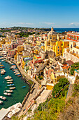 Blick auf Marina di Corricella von erhöhter Position,Procida,Phlegräische Inseln,Golf von Neapel,Kampanien,Süditalien,Italien,Europa