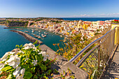 Blick auf Marina di Corricella von erhöhter Position,Procida,Phlegräische Inseln,Golf von Neapel,Kampanien,Süditalien,Italien,Europa