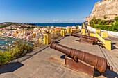 Blick auf Kanonen auf der Festung am Aussichtspunkt Terra Murata,Procida,Phlegräische Inseln,Golf von Neapel,Kampanien,Süditalien,Italien,Europa