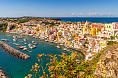 View of Marina di Corricella from elevated position, Procida, Phlegraean Islands, Gulf of Naples, Campania, Southern Italy, Italy, Europe