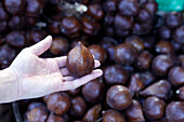 Salak-Frucht (Schlangenfrucht) zum Verkauf auf dem örtlichen Lebensmittelmarkt,Yogyakarta,Java,Indonesien,Südostasien,Asien,Asien