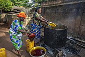 Villagers making palm oil in Dokoue, Benin, West Africa, Africa