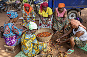 Villagers processing palm fruit for oil in Dokoue, Benin, West Africa, Africa