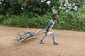 Junge holt Holz in Takpatchiomey,Couffo,Benin,Westafrika,Afrika