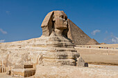 The Great Sphinx at the Great Pyramid complex, UNESCO World Heritage Site, Giza, Egypt, North Africa, Africa