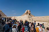 The Great Sphinx at the Great Pyramid complex, UNESCO World Heritage Site, Giza, Egypt, North Africa, Africa