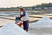 Salt fields at Karangjahe, near Lasem, Java island, Indonesia, Southeast Asia, Asia