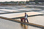 Salt fields at Karangjahe, near Lasem, Java island, Indonesia, Southeast Asia, Asia