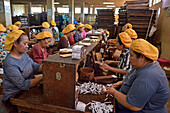 Arbeiterinnen in der Tapel Koeda Kretek (Nelkenzigaretten) Fabrik in Juwana,Insel Java,Indonesien,Südostasien,Asien