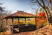 Hölzerner Pavillon in einem lebhaften Wald im Herbst,Japan,Asien