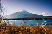 Mount Fuji, UNESCO World Heritage Site, in autumn and Kawaguchiko lake, Honshu, Japan, Asia