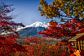 Berg Fujiyama (Mount Fuji),UNESCO-Weltkulturerbe,ikonischer Vulkan im Herbst,Honshu,Japan,Asien