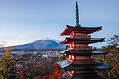 Sunrise at Mount Fuji in autumn, Fujiyoshida Chureito Pagoda, and fall leaves, Honshu, Japan, Asia