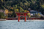 Berühmtes Otori-Tor,Torii im Meer vor Wald und Tempel,Miyajima,UNESCO-Welterbestätte,Präfektur Hiroshima,Honshu,Japan,Asien