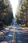 Car driving along the road in Yosemite National Park, UNESCO World Heritage Site, California, United States of America, North America