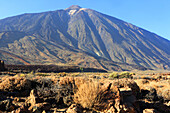 El Teide National Park,UNESCO Weltkulturerbe,Teneriffa,Kanarische Inseln,Spanien,Atlantik,Europa