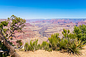 Grand Canyon,Pima Point,Grand-Canyon-Nationalpark,UNESCO-Welterbe,Arizona,Vereinigte Staaten von Amerika,Nordamerika