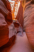 Slot canyon walls, Antelope Canyon X, Page, Arizona, United States of America, North America