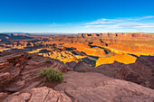 Bend of Colorado River at Dead Horse Point at sunrise, Dead Horse Point State Park, Utah, United States of America, North America