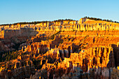 Hoodoos im Amphitheater des Bryce Canyon bei Sonnenaufgang,Sunset Point,Bryce Canyon National Park,Utah,Vereinigte Staaten von Amerika,Nordamerika