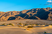 Mesquite Flat Sanddünen und felsige Berge in der Wüste,Death Valley National Park,Ostkalifornien,Kalifornien,Vereinigte Staaten von Amerika,Nordamerika