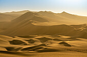 Sanddünen in der Wüste bei Sonnenuntergang,Huacachina,Bezirk Ica,Provinz Ica,Region Ica,Peru,Südamerika