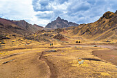 Wanderer wandern in den Anden zum Berg Rainbow,Bezirk Pitumarca,Region Cuzco,Peru,Südamerika