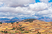 Felder um das Dorf Racchi bei Chinchero mit Fernsicht auf die Anden,Heiliges Tal,Peru,Südamerika