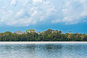 Sandoval-See,Tambopata-Nationalreservat,Puerto Maldonado,Madre de Dios,Peru,Südamerika