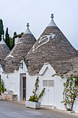 Alberobello iconic old Trullo and Trulli white houses with stone ceilings in conical shape, UNESCO World Heritage Site, Alberobello, Apulia, Italy, Europe