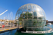 La Biosfera,tropische Tierwelt in einem Hafengebiet,Genua,Ligurien,Italien,Europa