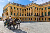 Horse and carriage (faiker), Schonbrunn Palace, UNESCO World Heritage Site, Vienna, Austria, Europe