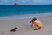 Tourist fotografiert ein Jungtier des Galapagos-Seelöwen (Zalophus wollebaeki) im Galapagos-Inselarchipel,UNESCO-Weltnaturerbe,Ecuador,Südamerika