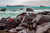 Surf breaking on lava shoreline at Gardner Bay on Espanola Island in the Galapagos Island Archipelago, UNESCO World Heritage Site, Ecuador, South America