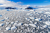 Blick auf Brucheis und schneebedeckte Berge in Neko Harbor in der Andvord-Bucht,Antarktis,Polargebiete