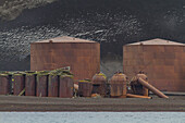 Views of the abandoned whale processing station at Whalers Bay on Deception Island, South Shetland Islands, Antarctica, Polar Regions