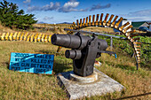 Blick auf das Walfangdenkmal in Stanley,der Hauptstadt und einzigen richtigen Stadt (mit einer Kathedrale) der Falklandinseln,Südamerika